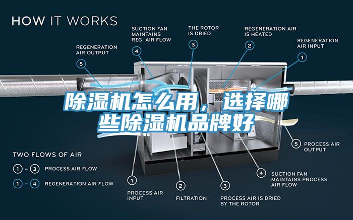 91免费网站在线观看怎么用，选择哪些91免费网站在线观看品牌好