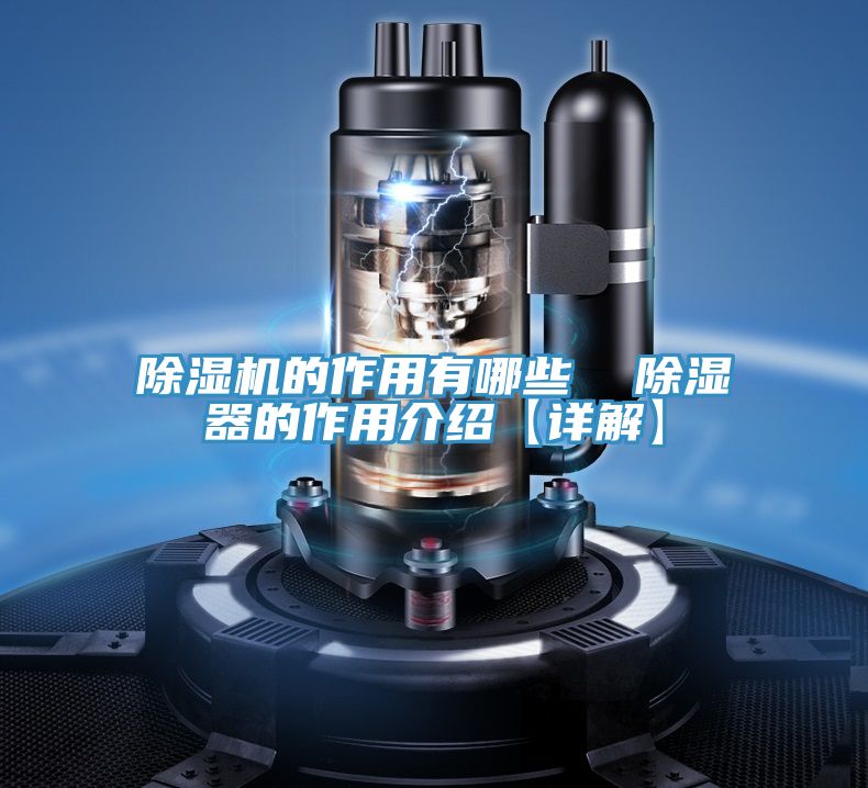 91免费网站在线观看的作用有哪些  除湿器的作用介绍【详解】