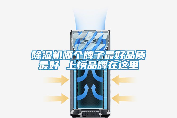 91免费网站在线观看哪个牌子最好品质最好 上榜品牌在这里