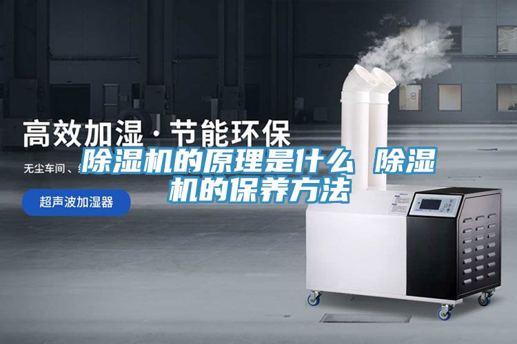 91免费网站在线观看的原理是什么 91免费网站在线观看的保养方法