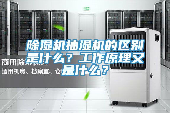 91免费网站在线观看抽湿机的区别是什么？工作原理又是什么？