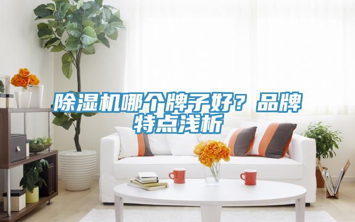 91免费网站在线观看哪个牌子好？品牌特点浅析
