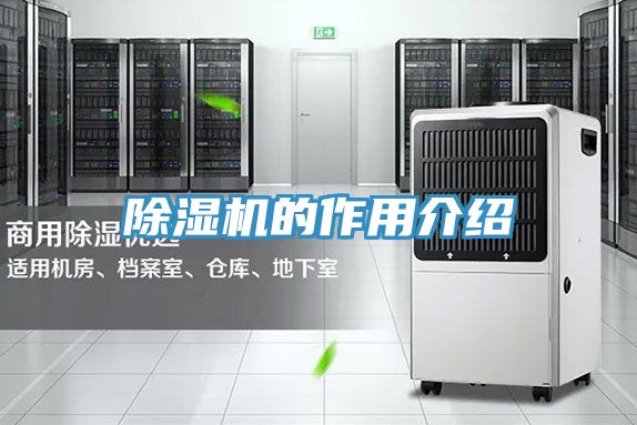 91免费网站在线观看的作用介绍