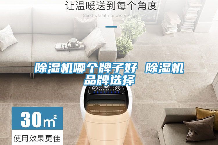 91免费网站在线观看哪个牌子好 91免费网站在线观看品牌选择