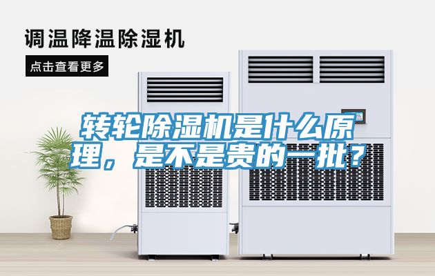 转轮91免费网站在线观看是什么原理，是不是贵的一批？