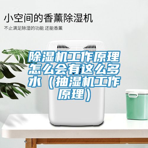 91免费网站在线观看工作原理怎么会有这么多水（抽湿机工作原理）
