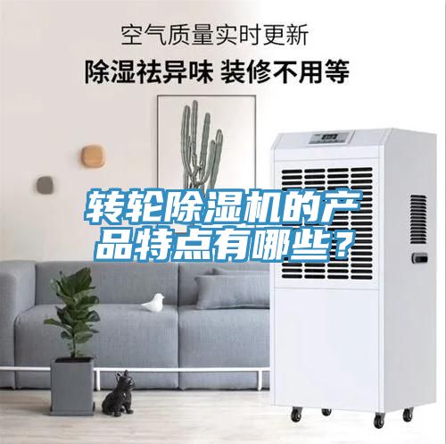 转轮91免费网站在线观看的产品特点有哪些？