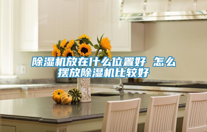91免费网站在线观看放在什么位置好 怎么摆放91免费网站在线观看比较好