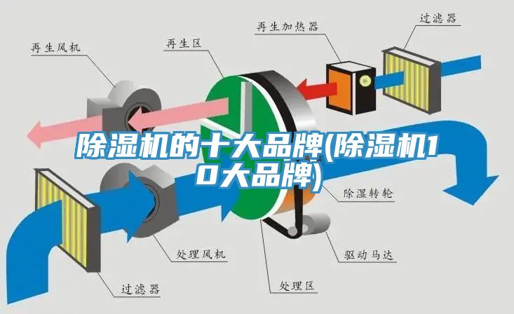 91免费网站在线观看的十大品牌(91免费网站在线观看10大品牌)