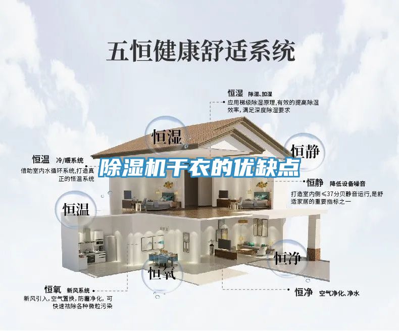 91免费网站在线观看干衣的优缺点