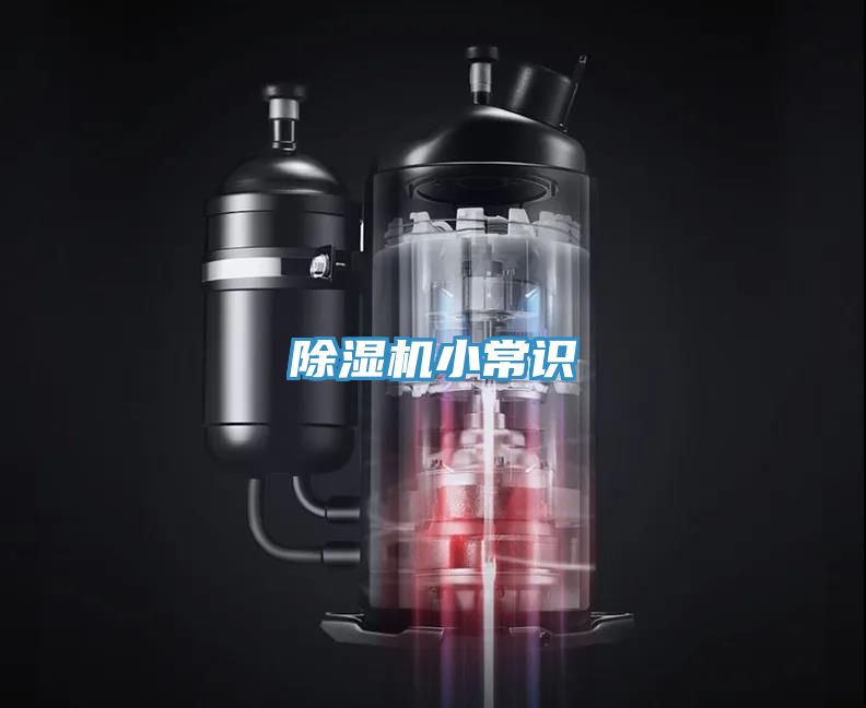 91免费网站在线观看小常识