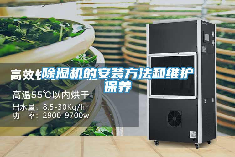 91免费网站在线观看的安装方法和维护保养