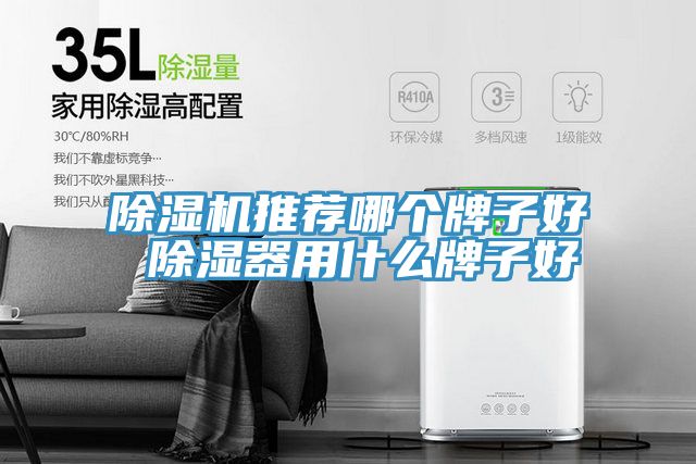91免费网站在线观看推荐哪个牌子好 除湿器用什么牌子好