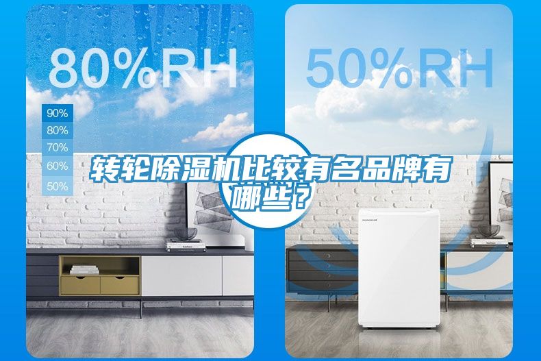 转轮91免费网站在线观看比较有名品牌有哪些？