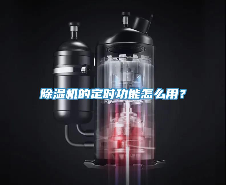 91免费网站在线观看的定时功能怎么用？
