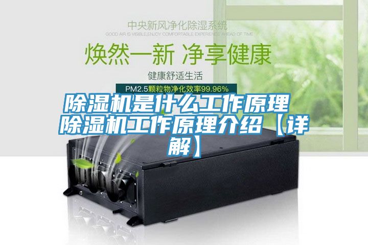 91免费网站在线观看是什么工作原理 91免费网站在线观看工作原理介绍【详解】