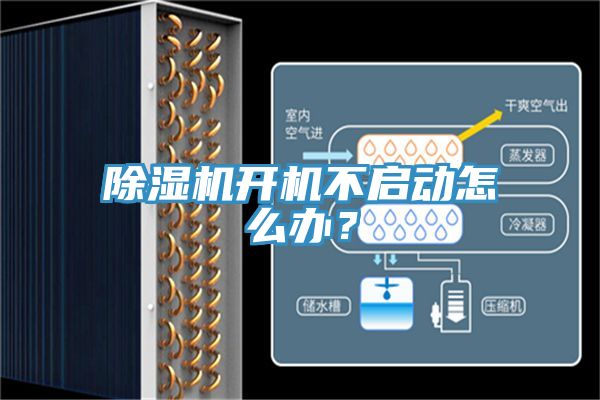 91免费网站在线观看开机不启动怎么办？