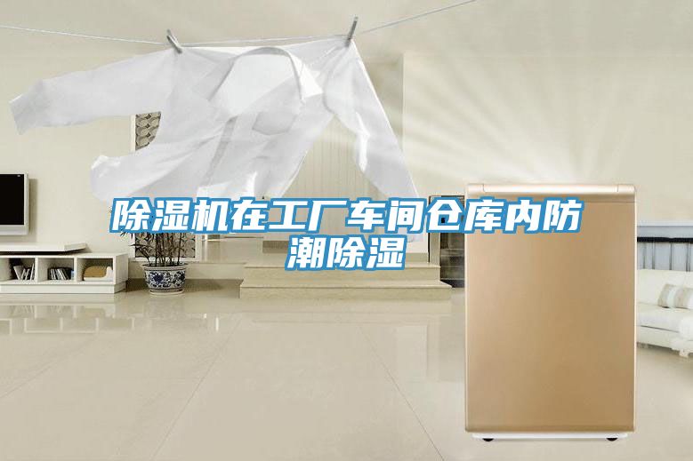 91免费网站在线观看在工厂车间仓库内防潮除湿