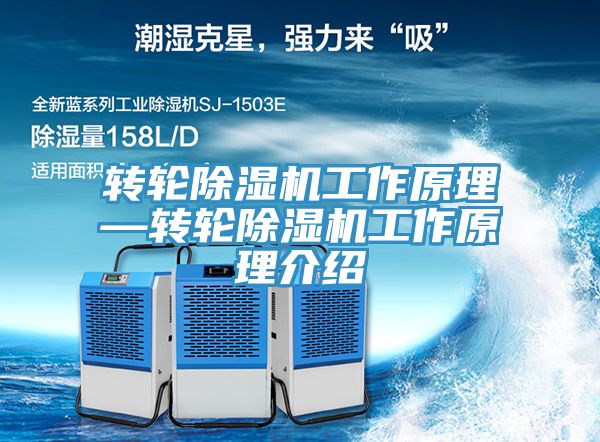 转轮91免费网站在线观看工作原理—转轮91免费网站在线观看工作原理介绍