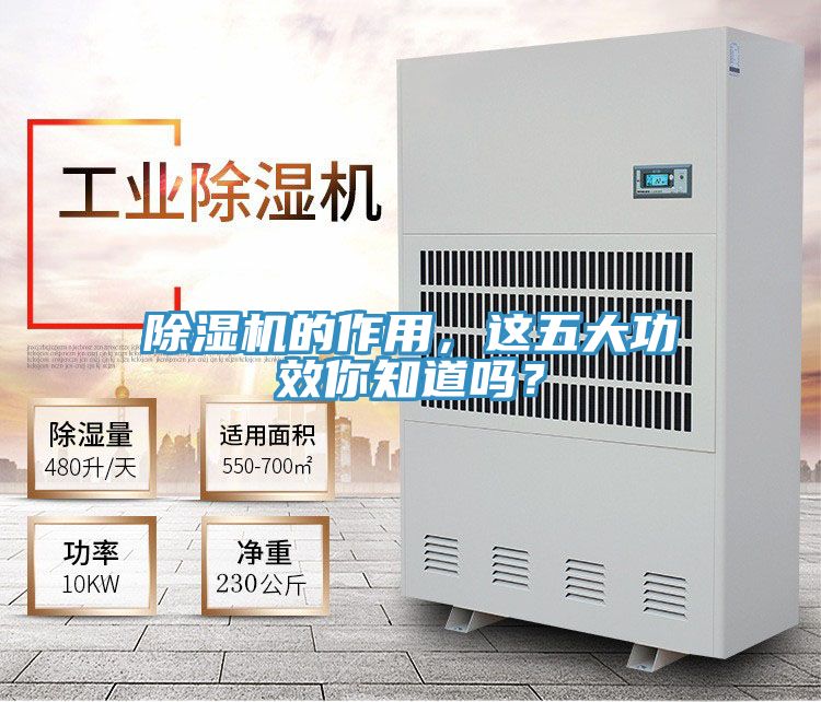 91免费网站在线观看的作用，这五大功效你知道吗？