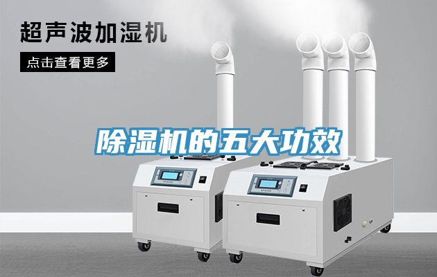 91免费网站在线观看的五大功效